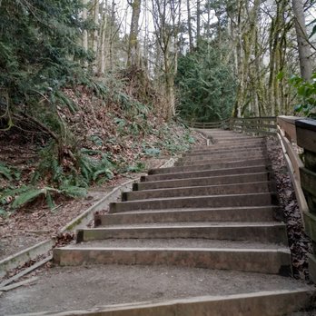 Meadowdale Beach Park - When you see these stairs, it means you are almost back to the top. - Parks Near Me - Edmonds, Washington Meadowdale Beach Park - When you see these stairs, it means you are almost back to the top. - Parks Near Me - Edmonds, Washington