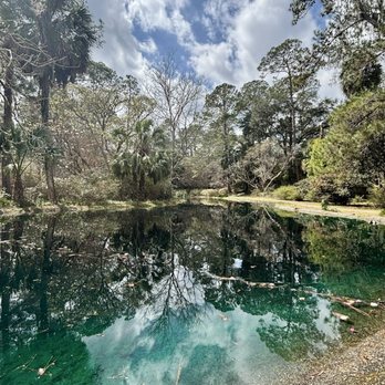 Alfred B  Maclay Gardens State Park - Parks Near Me - Tallahassee, Florida