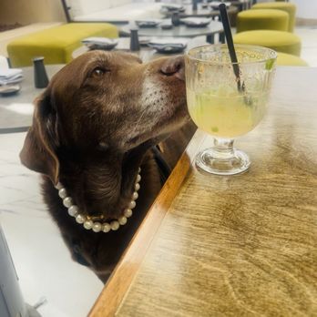 Leona's - Sierra wishing she had the Violette Rose - Sushi Bars Near Me - Studio City, California