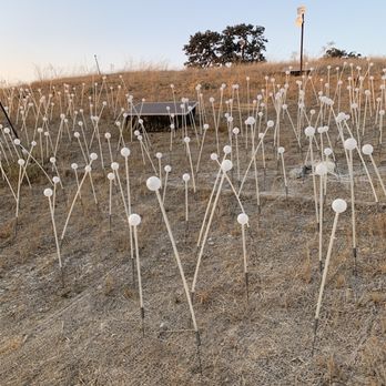 Sensorio - Art Galleries Near Me - Paso Robles, California