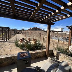 Ruta del Vino Tours - Emmalu Hotel Boutique