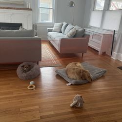 PrepareFirst Babyproofing