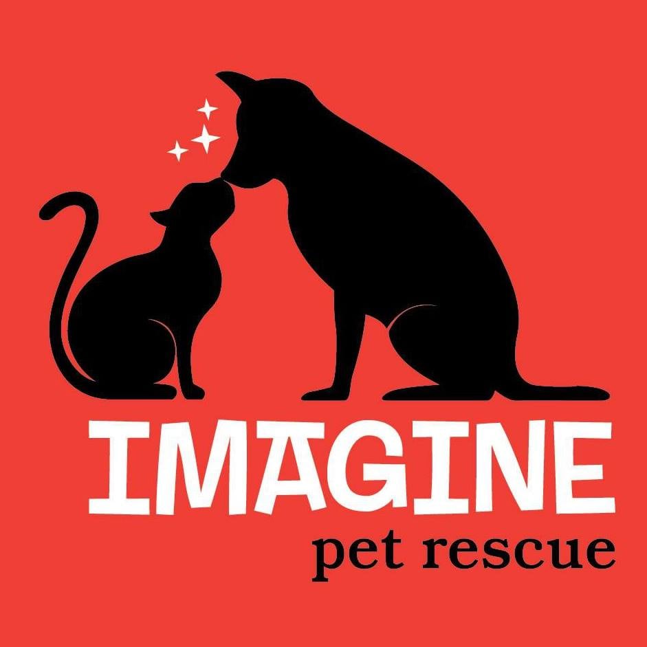 Imagine Pet Rescue - social services organization in Savannah, GA