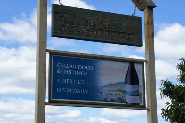 Pipers Brook Vineyard by null