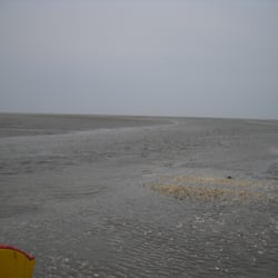 Reiterhof & Wattwagenfahrten - Muschelbänke