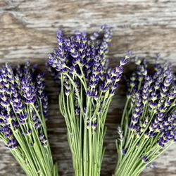 Mossbrook Roots Florist