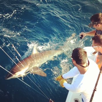 Taco Hooked Up Fishing Charters - Silky shark - Fishing Near Me - Ft Lauderdale, Florida