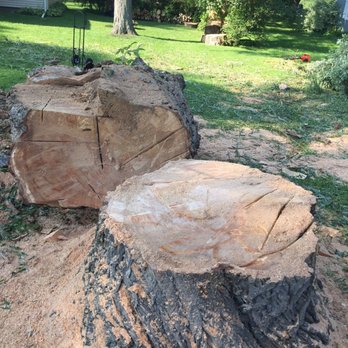 Ryan's Tree Care - Tree Services Near Me Ryan's Tree Care - Tree Services Near Me