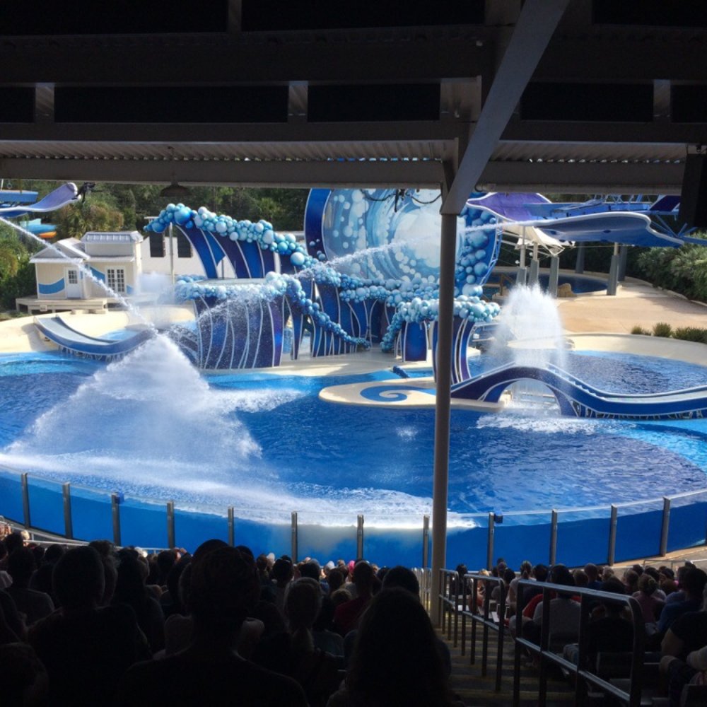 Dolphin Theater - Stadiums & Arenas Near Me - Orlando, Florida Dolphin Theater - Stadiums & Arenas Near Me - Orlando, Florida