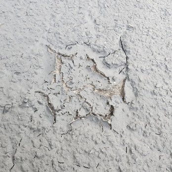 Manel Sealers - Masonry/Concrete Near Me - Rochester, New York