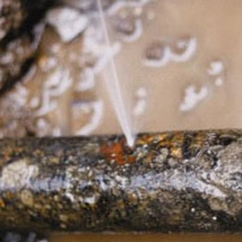On The Spot Leak Detection - Plumbing Near Me On The Spot Leak Detection - Plumbing Near Me