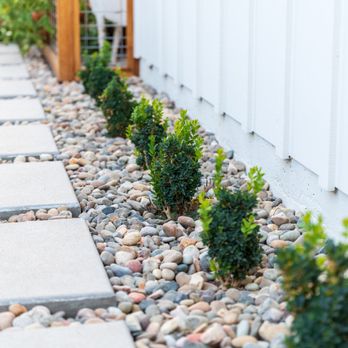 AAA Landscaping - a gravel path with small trees - Landscaping Near Me - Arroyo Grande, California AAA Landscaping - a gravel path with small trees - Landscaping Near Me - Arroyo Grande, California