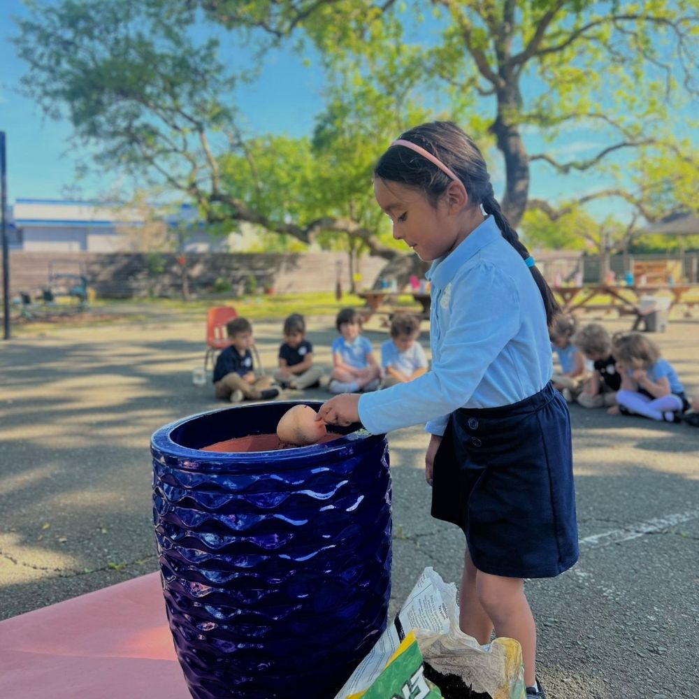 Little Wildflowers Preschool - childcare center in Santa Rosa, CA
