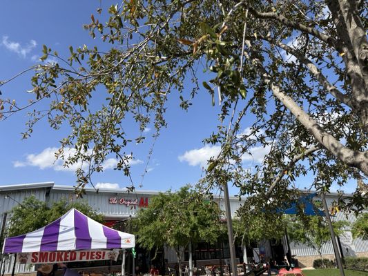 The Houston Farmers Market by null