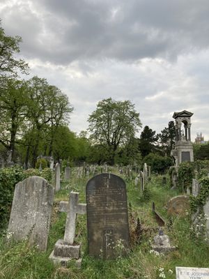Brompton Cemetery by null