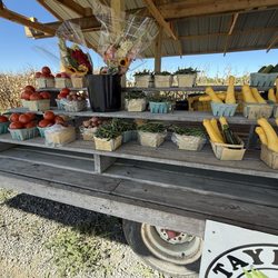Taylor's Produce