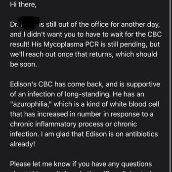 Petco - CBC results of Edison's long standing infection - Pet Stores Near Me - Seattle, Washington