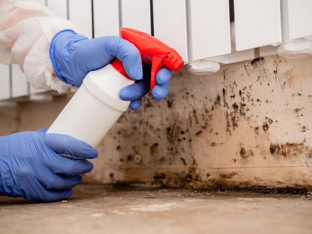 Mold Doctor Ohio - mold inspector in Marysville, OH
