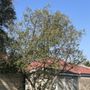 Photo of D & A Tree Service