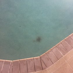 AmeriVu Inn - Dangerous mold in the pool
