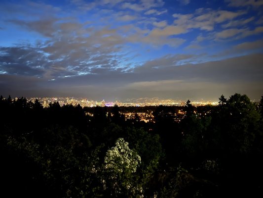 Seasons in the Park by null