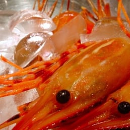 Sweet Shrimp