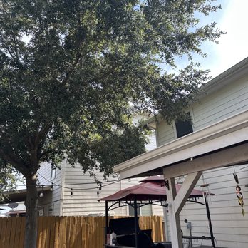 Mission City Arbor Group - Back yard before. - Tree Services Near Me - San Antonio, Texas Mission City Arbor Group - Back yard before. - Tree Services Near Me - San Antonio, Texas