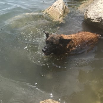 Red Bud Dog Park - Dog Parks Near Me - Austin, Texas Red Bud Dog Park - Dog Parks Near Me - Austin, Texas