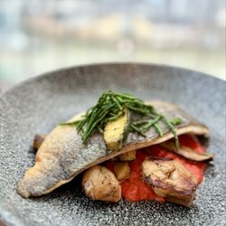 Darwin Brasserie - Sea Bream