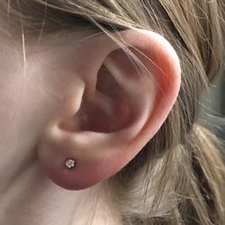 Cowpok - Lobe piercing one day post appointment