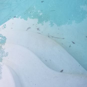 The Pool Guys - Pool Cleaners Near Me - Modesto, California