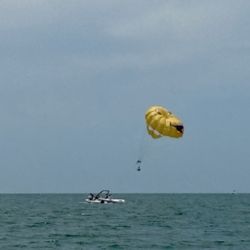 Suncoast Watersports