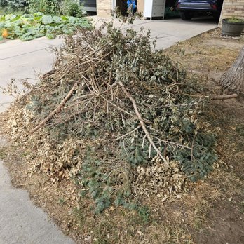 Inside Out Junk Removal & Cleaning - Yard waste - Junk Removal & Hauling Near Me - Denver, Colorado Inside Out Junk Removal & Cleaning - Yard waste - Junk Removal & Hauling Near Me - Denver, Colorado