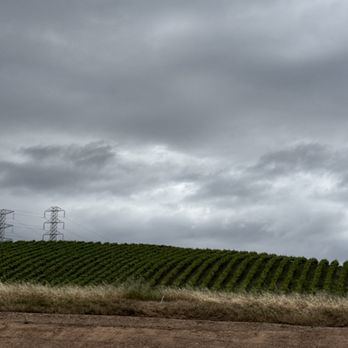 Murrieta's Well - Venues & Event Spaces Near Me - Livermore, California