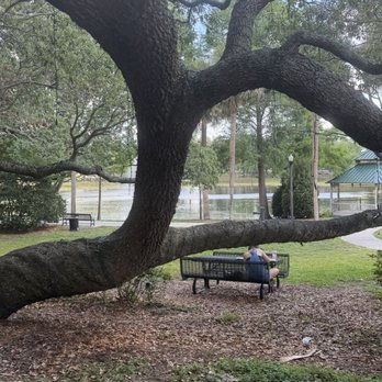 Lake Lily Park - Seating along trail - Parks Near Me - Maitland, Florida Lake Lily Park - Seating along trail - Parks Near Me - Maitland, Florida