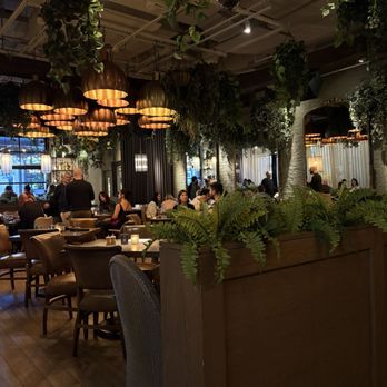 Aba - Dining Area - Mediterranean Near Me - Austin, Texas Aba - Dining Area - Mediterranean Near Me - Austin, Texas