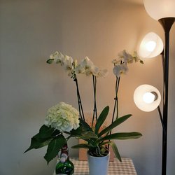 Jsong's Acupuncture & Herbal Medicine Clinic
