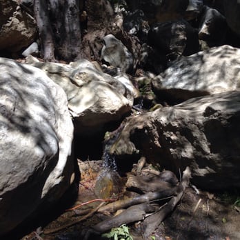 Black Star Canyon Trail - Hiking Near Me - Orange, California