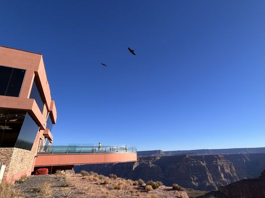 Grand Canyon West Skywalk by null
