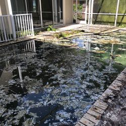 Groves Swimming Pool Service - Starting acid wash