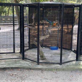 Popcorn Park Zoo - Macaw without a single toy. This is like placing a two year old child in a room without any toys. Pure torture - Zoos Near Me - Forked River, New Jersey