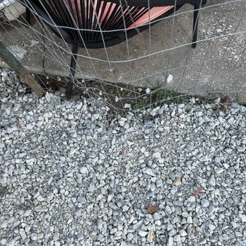 All Green Site Management - Weeds are still there where it was supposed to be DUG IN as a rock bed - Lawn Services Near Me - Rock island, Illinois