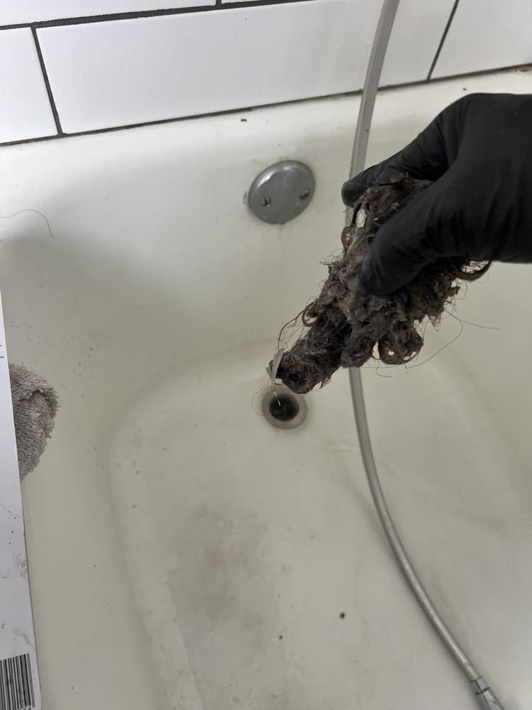 Slide of Root Busters