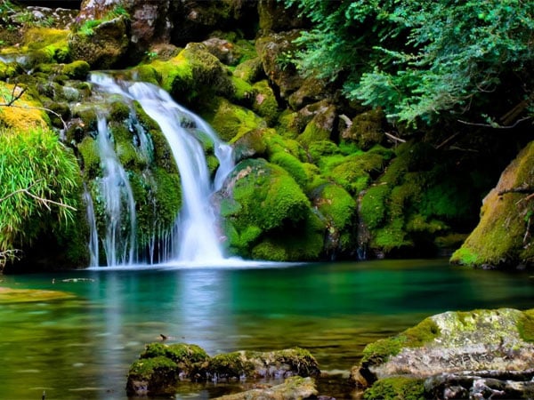 Heather Hindman Counseling - grief counselor in Snohomish, WA