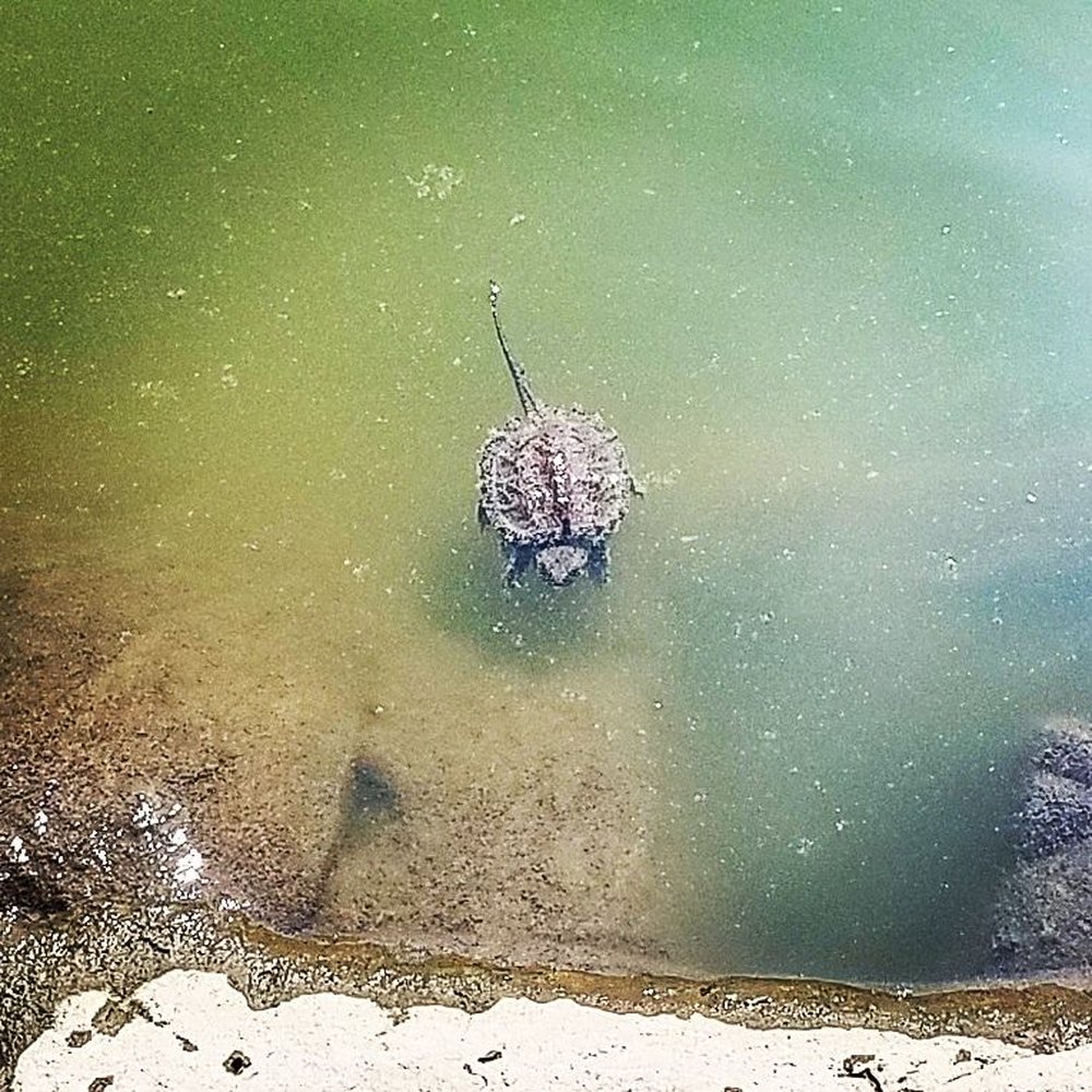 Falls Park - Happy snapper :) - Parks Near Me - Sioux Falls, South Dakota Falls Park - Happy snapper :) - Parks Near Me - Sioux Falls, South Dakota