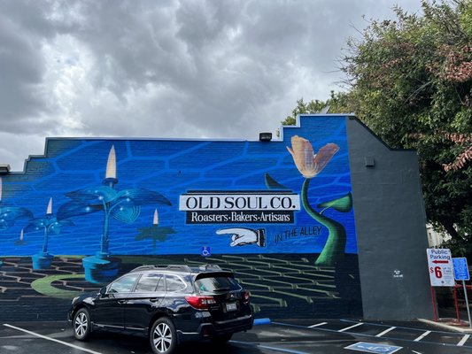 Old Soul Co. by null