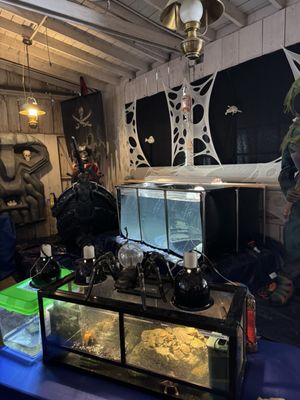 Knott's Berry Farm by null Knott's Berry Farm by null