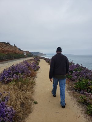 Secret Garden Inn by null