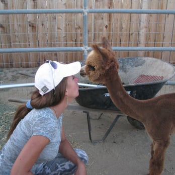 Heidi's Pet Prairie Inn - Baby Mochi! - Pet Groomers Near Me - Menifee, California Heidi's Pet Prairie Inn - Baby Mochi! - Pet Groomers Near Me - Menifee, California