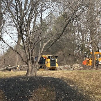 Cox & Company Inc Tree and Landscape Services - Cox and COmpany at work! - Landscaping Near Me - Penn Valley, Pennsylvania